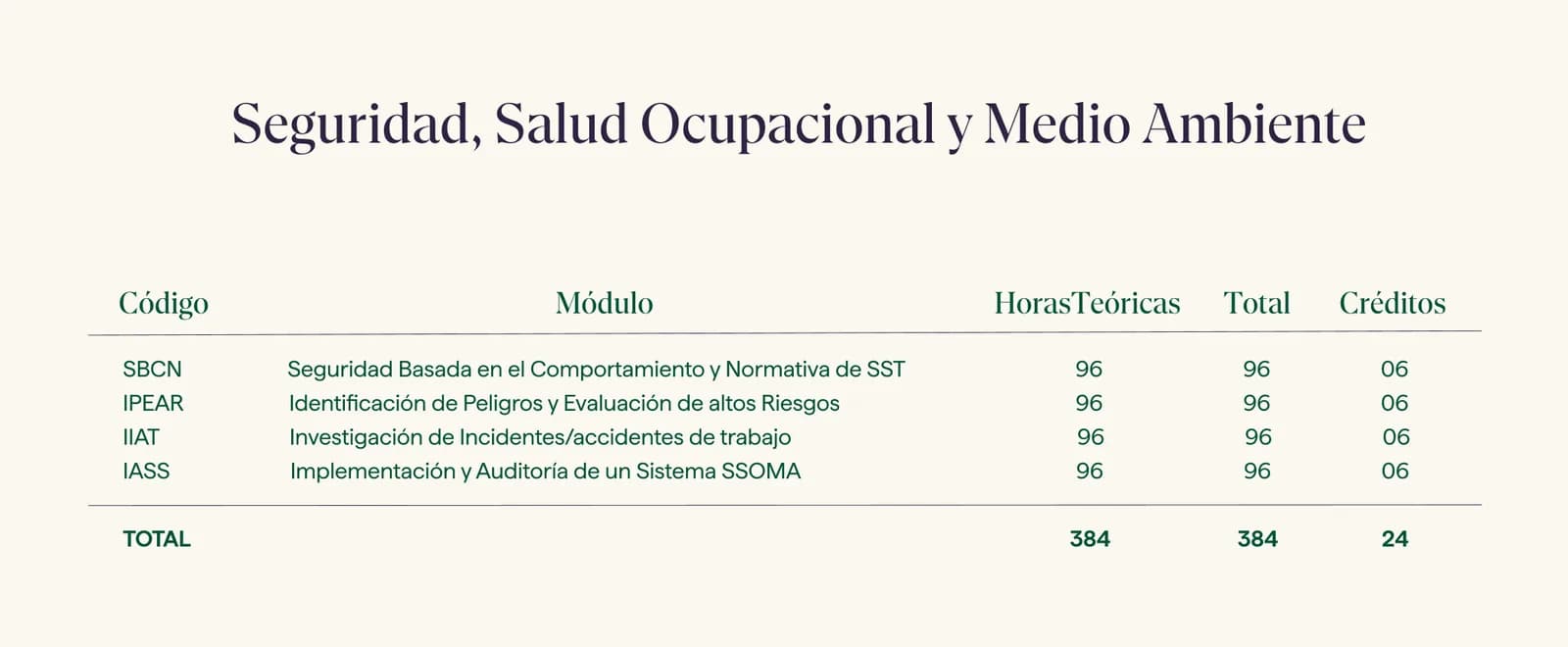 Malla curricular · Diplomado en Seguridad, Salud Ocupacional y Medio Ambiente